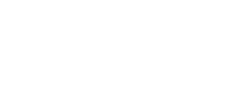 Bois Tech logo blanc